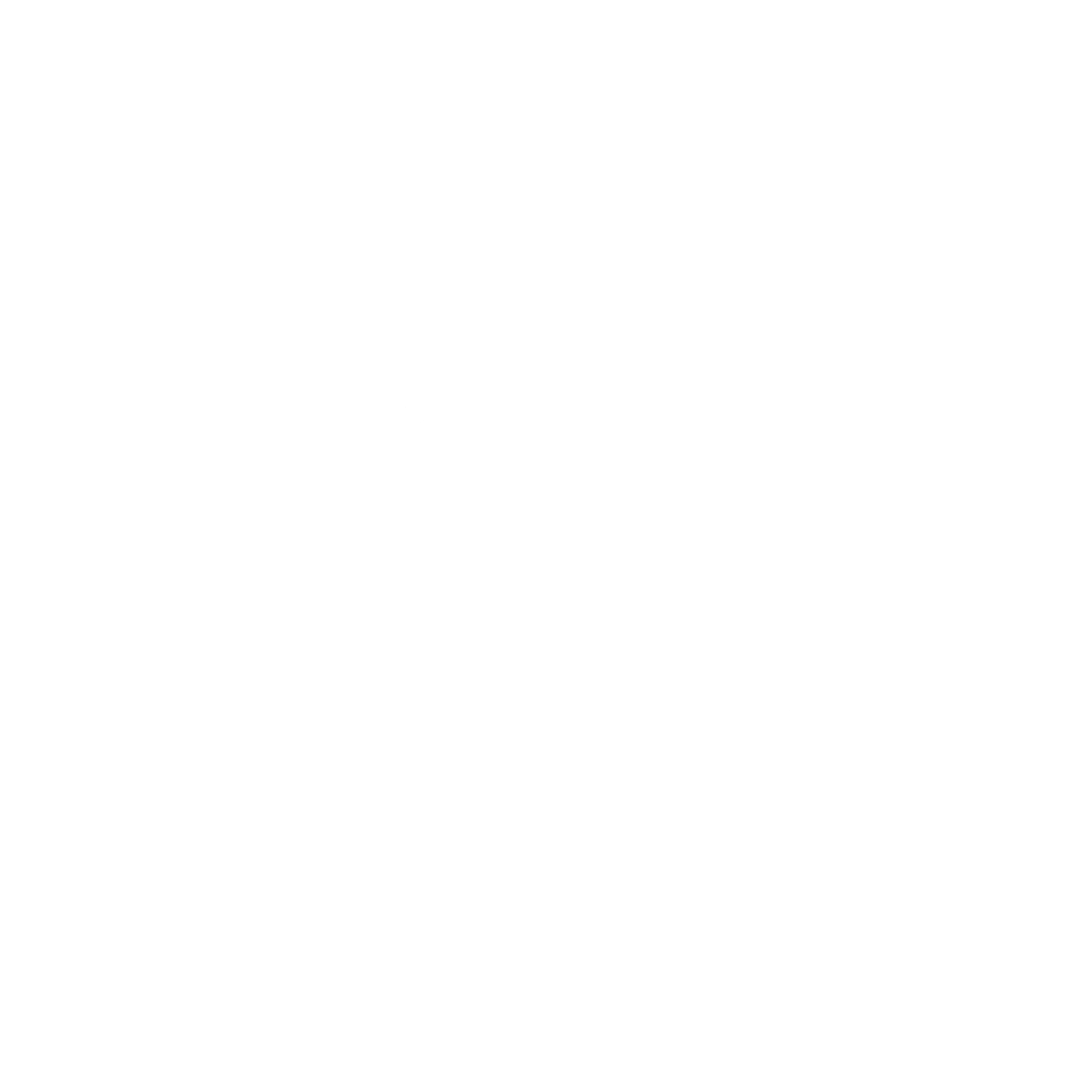 logo light